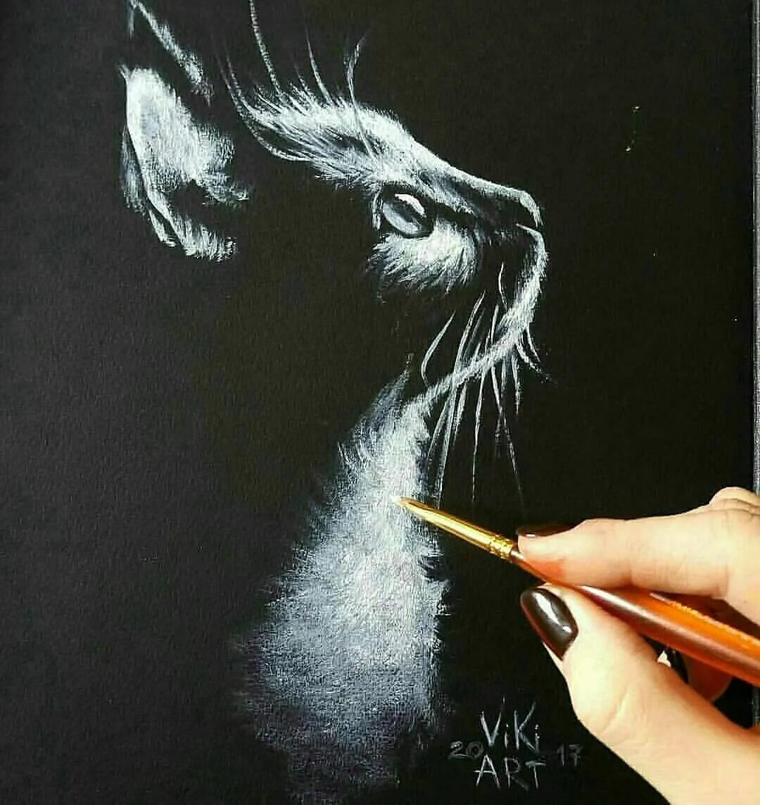 Рисунки белым карандашом. Граттаж. Граттаж кот. Граттаж картины. Граттаж техника рисования.
