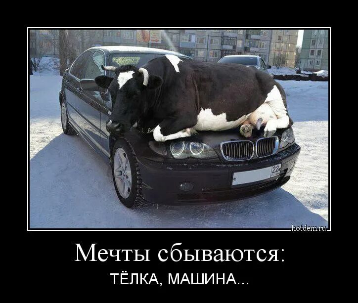 Машина это было так. Если машина. Цитаты про мерседес. Машина это было так. Цитаты про авто.