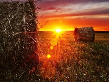 Воздух вблизи как то особенно прозрачен словно