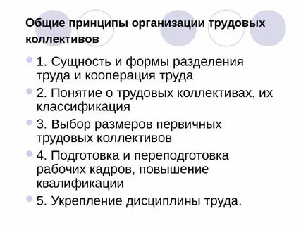 Какое место занимают в коллективе