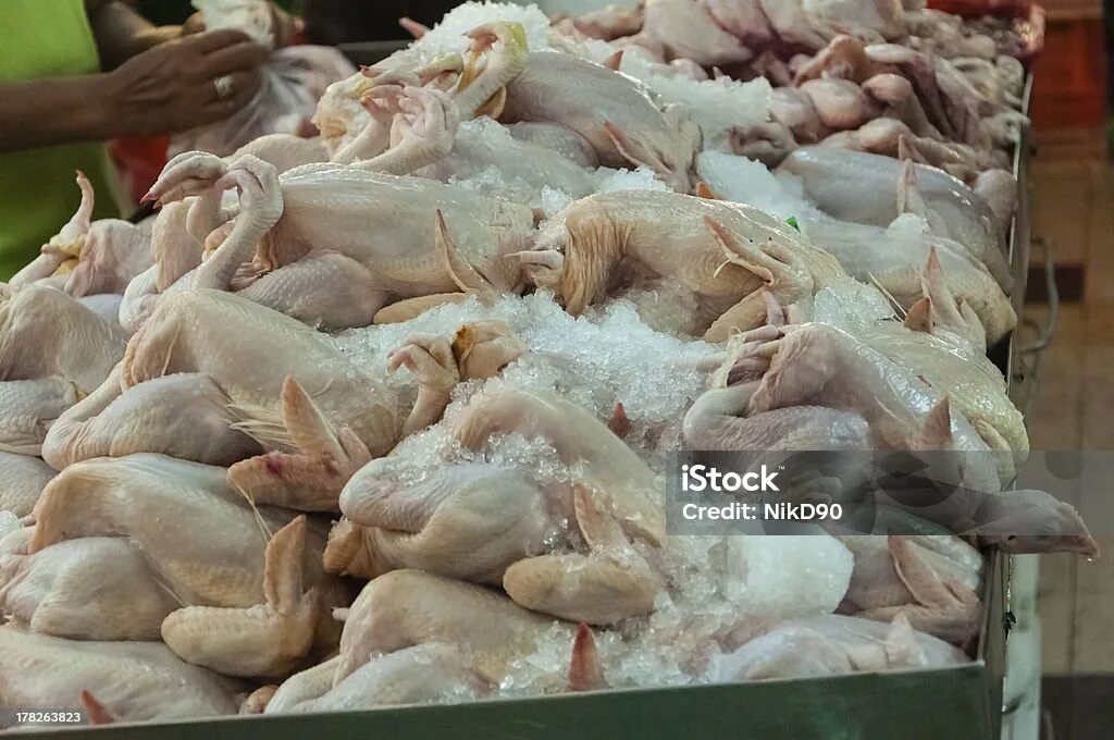 К чему снится дохлая курица во сне. Дохлые птицы валяются на участке. К чему снится убийство человека. Приснились курицы сонник. Курица во сне к чему снится.