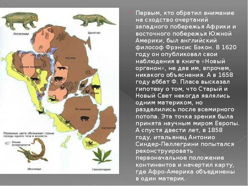 Сходства различия африки южной америки австралии. Сходства и различия Африки и Южной Америки. Сходства Южной Америки и Африки. Сходства Южной Америки Африки и Австралии. Сравнить Южную Америку и Африку.