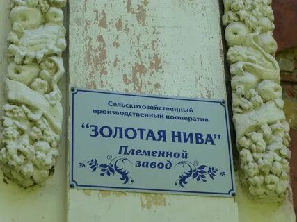 Спк золотая нива