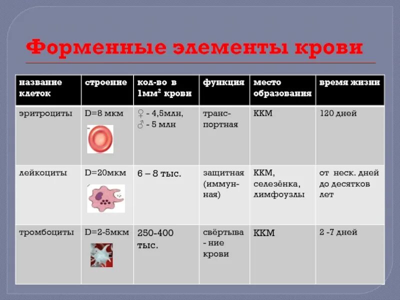 Форменные элементы крови биология 8 класс. Форменные элементы крови таблица биология 8 класс. Форменные элементы крови 6 класс биология. Форменные элементы крови таблица вывод. Элементы крови с ядрами