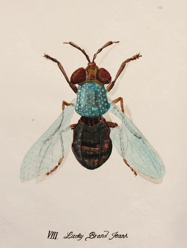 Bug up