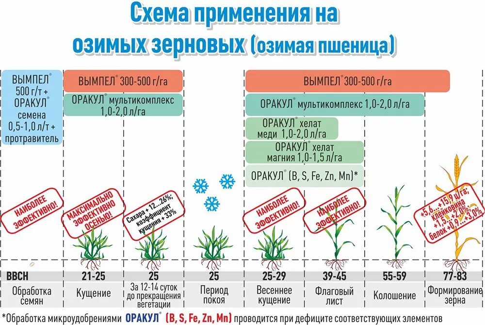 Срок посева озимых