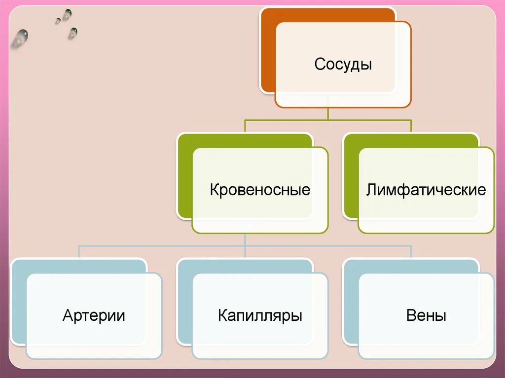 Какие вещества участвуют в транспорте веществ. Транспорт веществ в организме. Транспорт веществ в живых организмах. Транспорт питательных веществ в организмах. Что такое транспорт веществ в биологии.