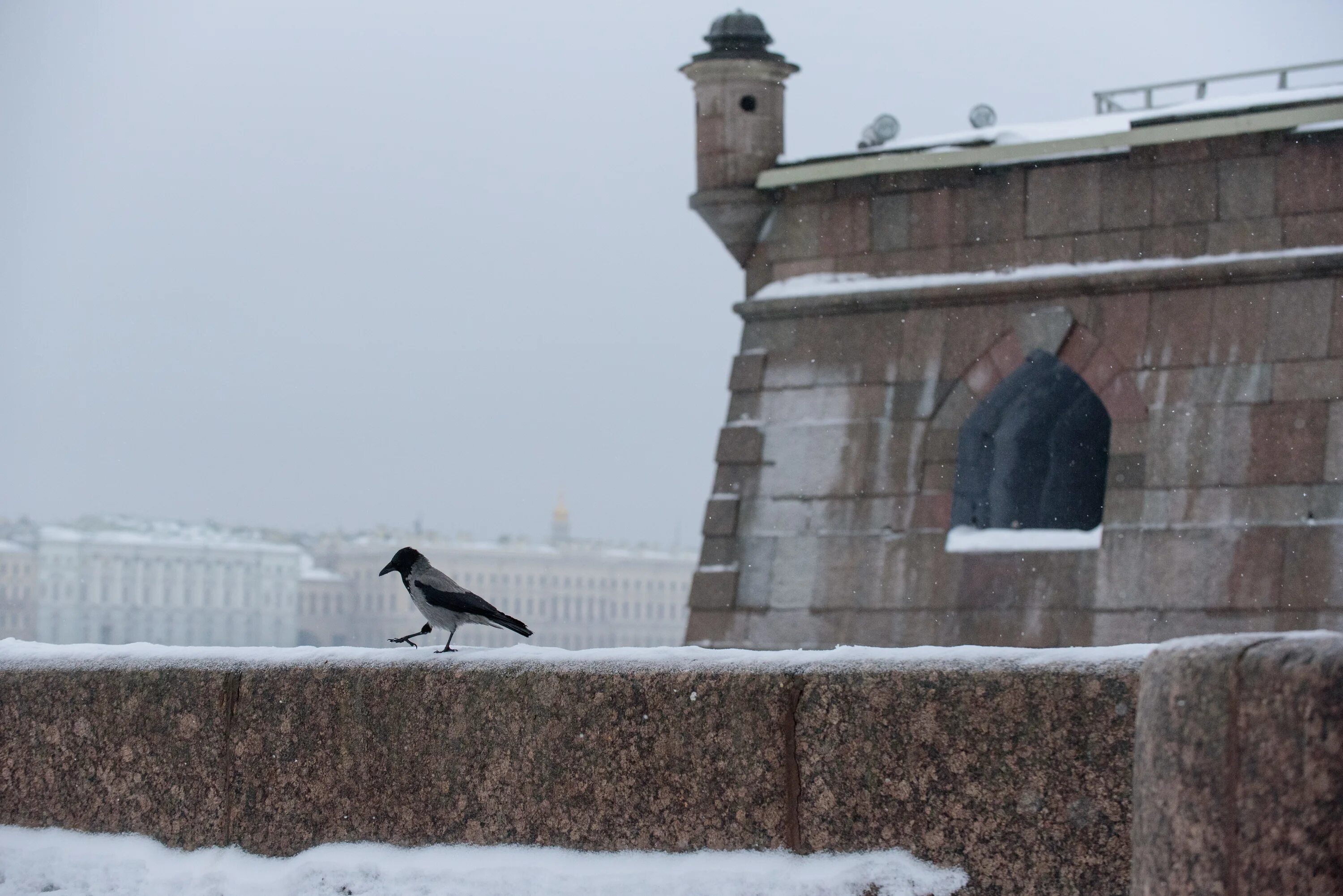 Погода в санкт-петербурге на завтра. Питер март. Погода в санкт петербурге 26 ноября. Климат питера. 31 августа дождь в питере.