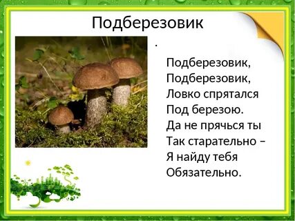 Подберезовик по составу
