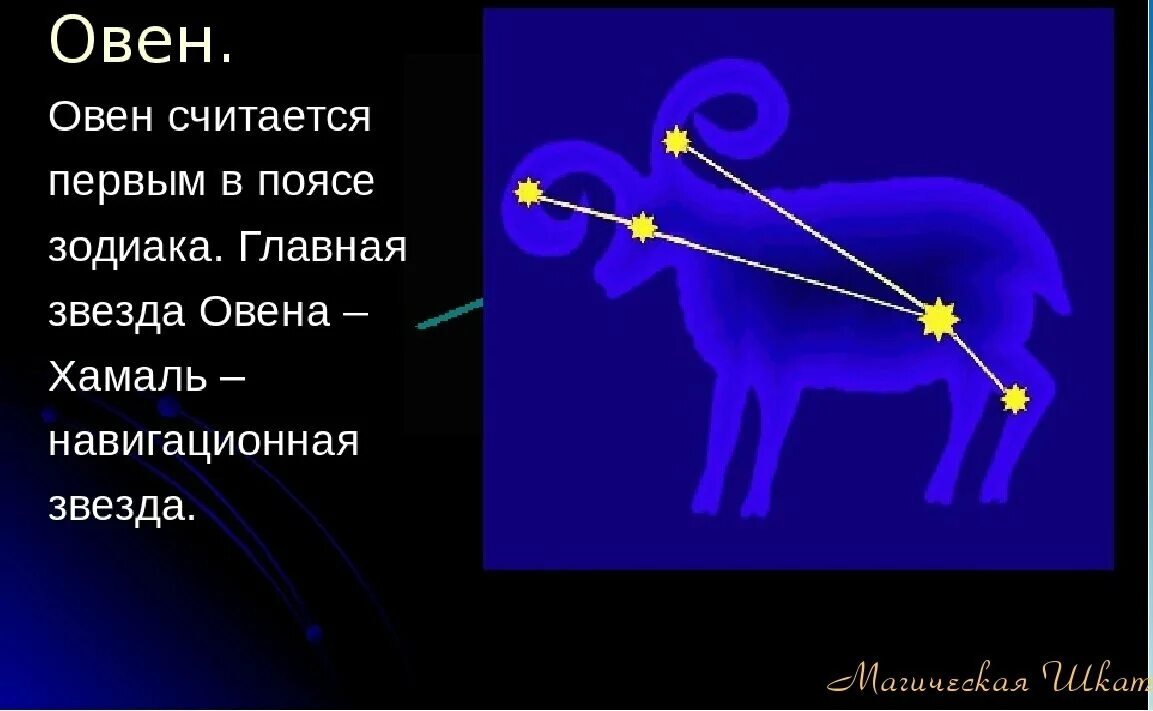 Созвездия 3 класс. Созвездие Овен описание. Овен знак зодиака Созвездие. Созвездие овна на небе зодиакальные созвездия. Созвездие Овен для детей.