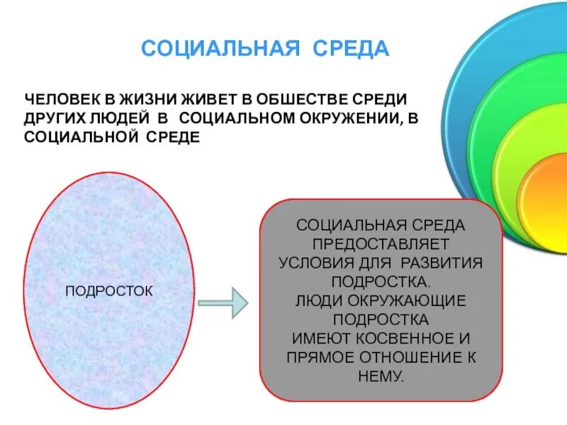 Социальное окружение примеры. Социальное окружение человека. Социальная среда. Личность и социальная среда. Социальная среда примеры.