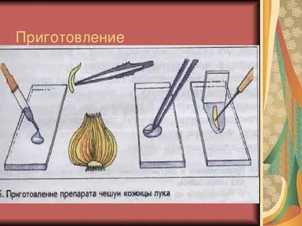 Приготовление капель