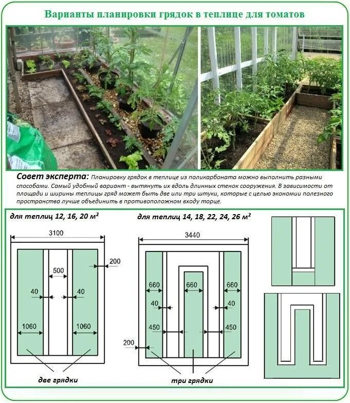 Размер грядок на огороде. Грядки в теплице 3 на 4 Размеры. Схема посадки томатов в теплице 3х4. Три грядки в теплице 3х4. Схема высадки томатов в теплице 3 на 6.