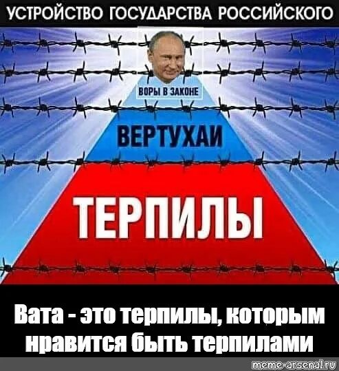 Вертухай это значение слова. Терпила. Мемы про терпил. Терпилы в России. Мем Россия терпилы.