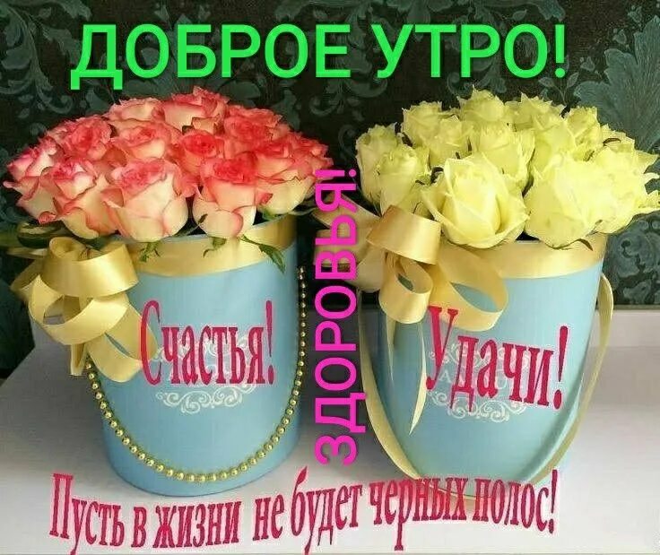 Доброе утро валентинка. Валентинка с добрым утром. Ведро счастья. С днем счастья.