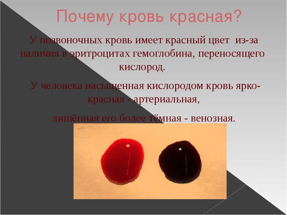 Причины крови во время акта. Цвет крови. Цвет человеческой крови. Кровь темно красного цвета.