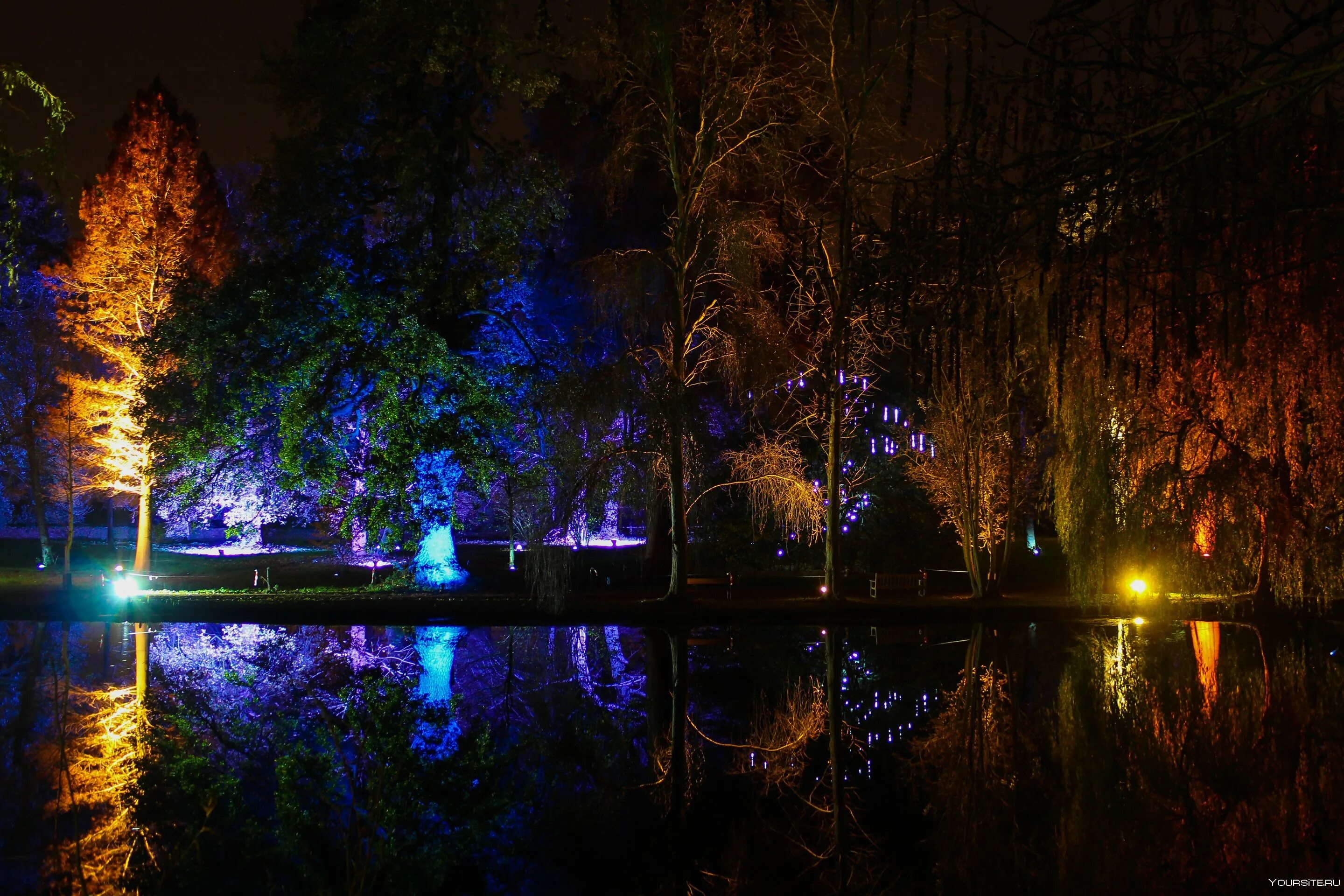 Красивое время ночью. Город Бийск Центральный парк ночью. Красивый ночной парк. Ночной сад. Красивый ночной пруд.