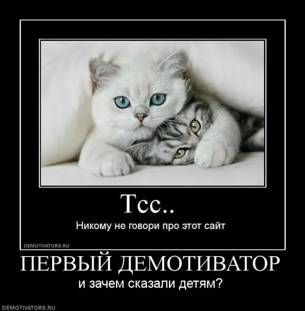 Видео никому не показывай. Первый демотиватор. Демотиваторы про работу. Научился без работы демотиватор. ТСС прикол.