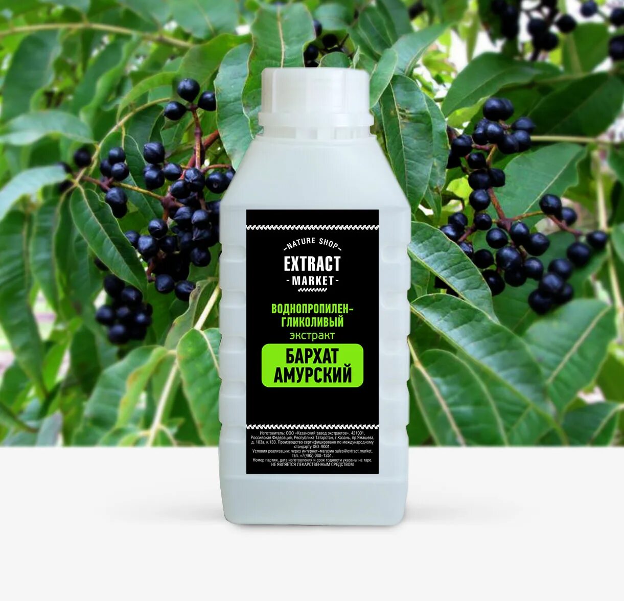 Амурский бархат ягода и их применение. Экстракт амурского бархата. бархата амурского масло. амурский бархат лекарства. амурский бархат ягода экстракт.