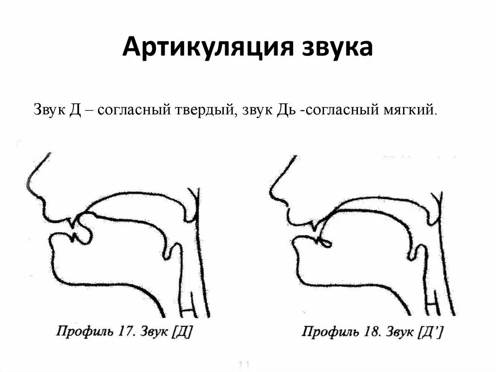 Артикуляция д