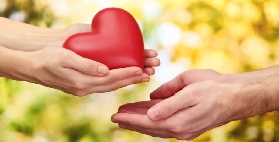 Помощь отзывчивость. Человек протягивает руку помощи. Сочувствие животным. Руки пожилых и молодых. Любовь между детьми.