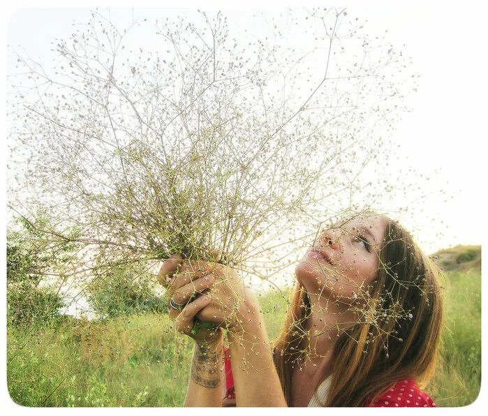 дети с полевыми цветами. сохрани лето. сохрани лето. сохрани лето. сохрани лето.