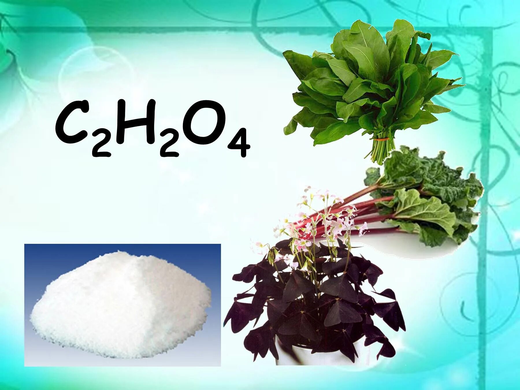 Щавелевая кислота cahco32. H2o2 щавелевая кислота. Щавелевая кислота формула. Щавелевая кислота h2o.