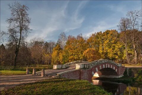 Парк кузьминки кузьминский парк