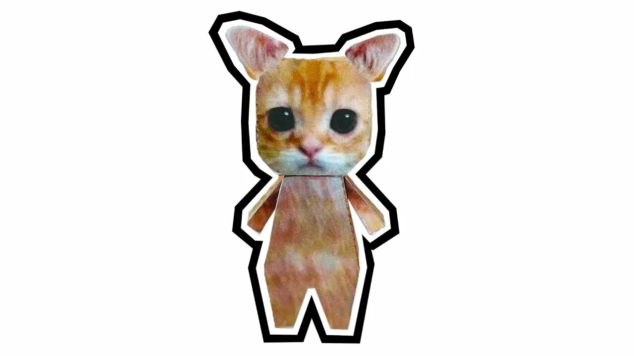 Мем с котом из тик тока Pin by Paige F. on Cats yelling and other mysterious emotions in 2022 Silly cats