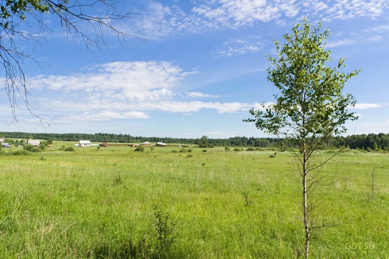 Продам землю в городе. Деревня Юдинки Можайский район. Озеро Юдинки Можайский район. Природа Можайского района. Можайск природа.