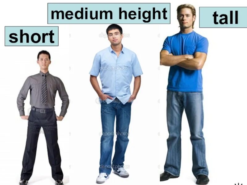 Medium height. Tall short Medium height. Tall Medium short man. Tall short average height. Short height