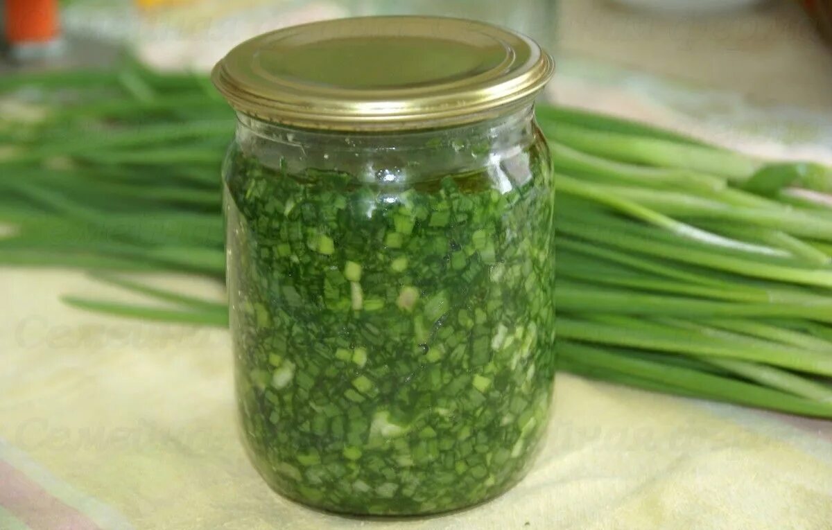 Что сделать с зеленым луком на зиму. Что сделать с зеленым луком на зиму. Что сделать с зеленым луком на зиму. Что сделать с зеленым луком на зиму. Что сделать с зеленым луком на зиму.