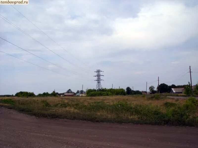 Деревня волчки