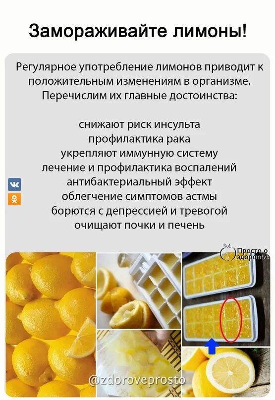 Заморозка лимона. Для чего замораживают лимоны. Лимон в морозилке. Замороженный лимон. Фрукты во льду.