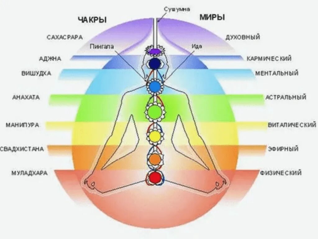 Ментальная чистка. Структура тонких тел человека. Энергетические центры человека тонкие тела и физическое тело. Энергетическая система человека и чакры. Энергетические центры человека чакры и тонкие тела.