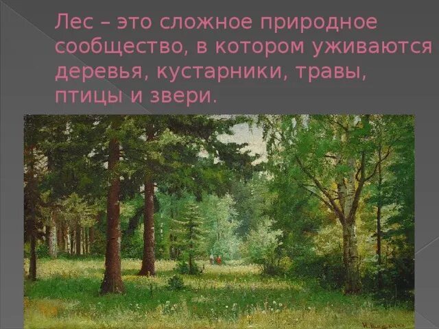 Жизнь леса 2 класс окружающий мир. Проект жизнь леса. Жизнь леса презентация. Лес это сложное природное сообщество. Лес для презентации.