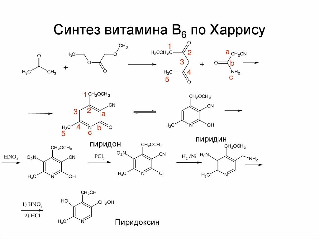 Синтез витамина б. Синтез витамина в6. Синтез витамина б12. Синтез витамина б6. Синтез гема витамин б6.