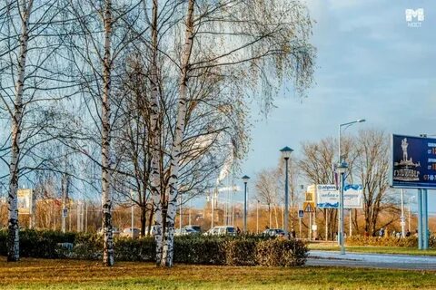 Погода в глазове в ноябре