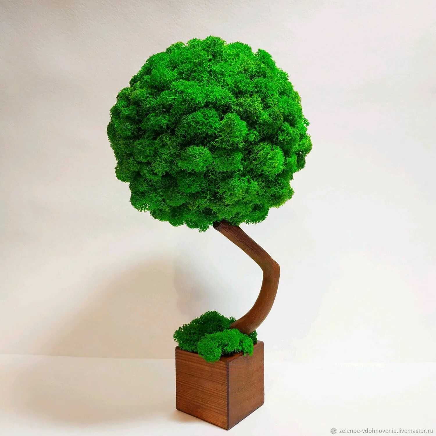 Деревца из мха. Как сделать дерево из мха. Топиарий из стабилизированного мха с суккулентами фото. Как сделать дерево из мха. Топиарий из стабилизированного мха.