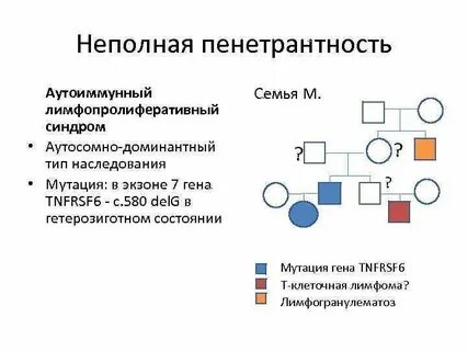 Аутосомно доминантно наследуется