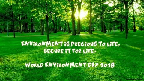 Are you interested in the environment