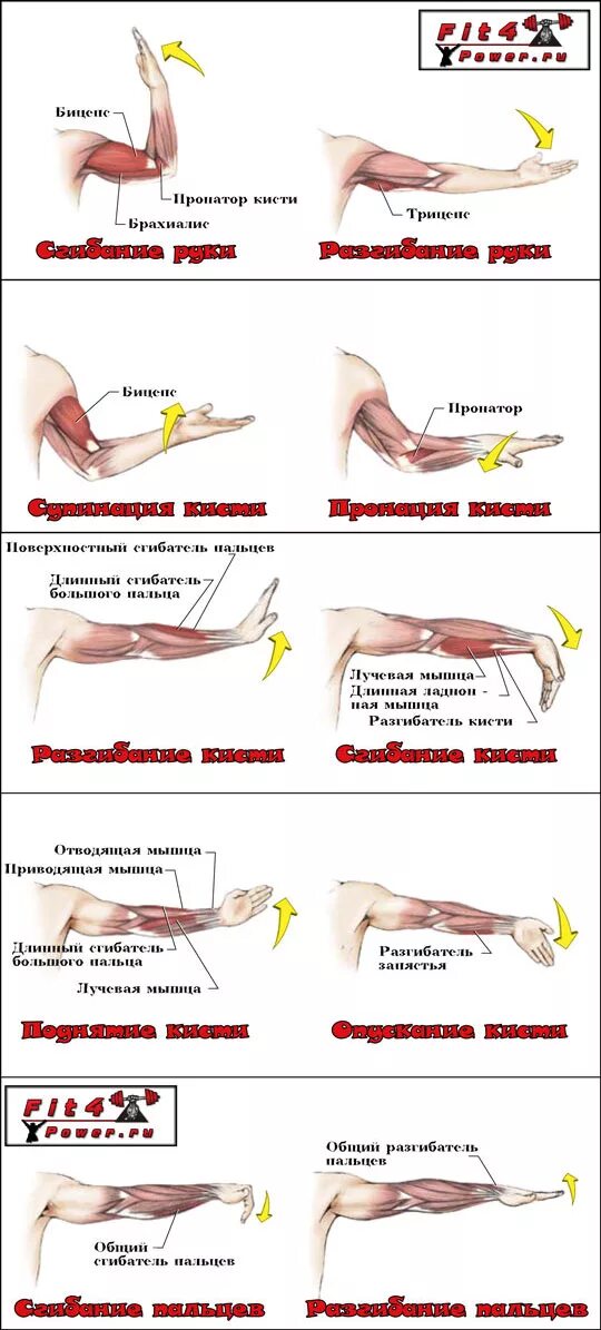 Потянула руку что делать болит