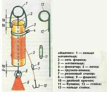Сколько жерлиц на человека