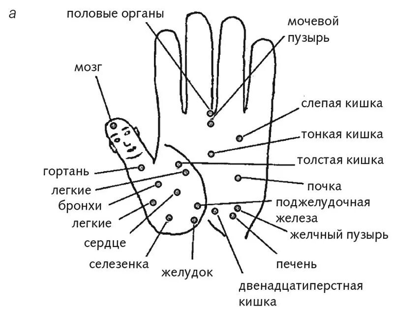 Су Джок проекция органов на ладони. Су Джок система соответствия стопы. Су Джок точки на стопе. Су Джок ухо схема точек. Точки на руках для массажа