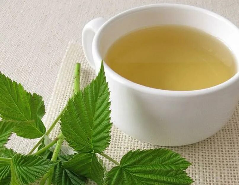 Чай с малиновым листом. Чай из малиновых листьев. Листья малины чай. Чай из листьев малины.