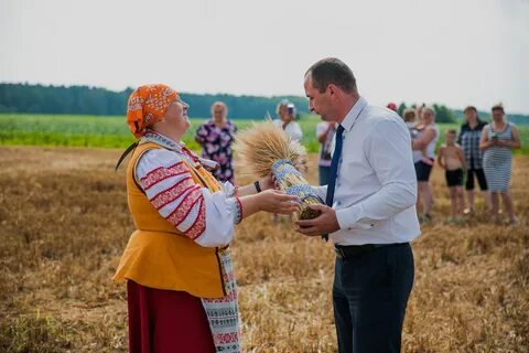 Погода в павловщине
