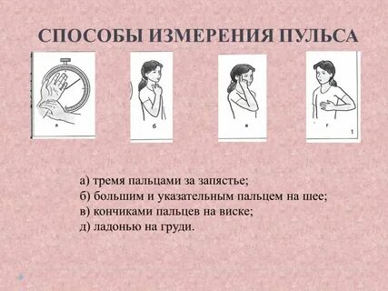 Какие способы подсчета пульса применяются физическом воспитании