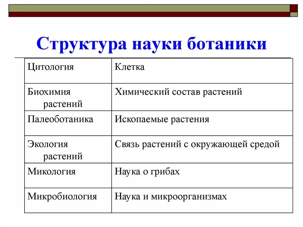 Какая ботаническая наука изучает испарение. Структура науки. Ботаника структура. Науки изучающие ботанику. Науки в ботанике 6 класс.