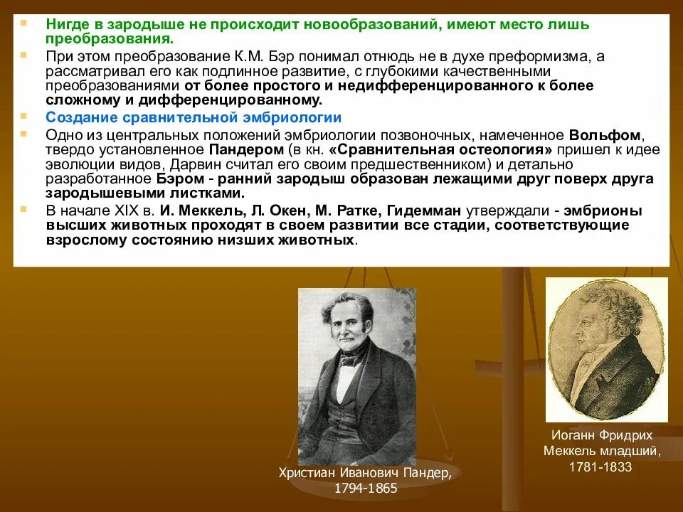 Что является объектом изучения эмбриологии