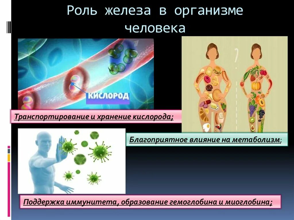 Железо в организме человека его роль. Железо в организме человека. Железы организма человека. Биологическая роль железа в организме. Биологическая роль желозо.